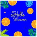 Set of different Summer poster or template design1.